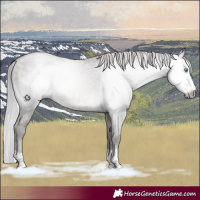 Horse Color:Gray Platinum Silver Smoky Grullo Pearl Splash Tobiano Varnish 