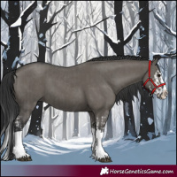 Horse Color:Grullo Sabino Splash  and Grullo Sabino Splash 