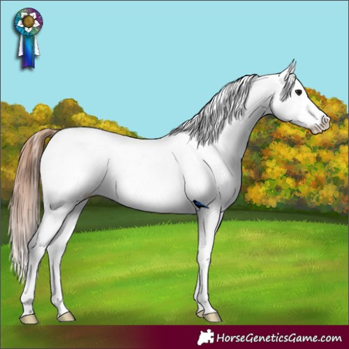 Horse Color:Bay Varnish 