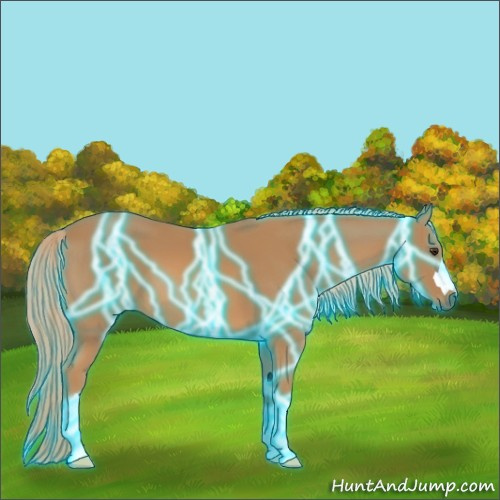 Horse Color:Thunderstruck Chestnut 