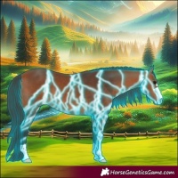 Horse Color:Thunderstruck Bay 
