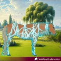 Horse Color:Thunderstruck Chestnut
