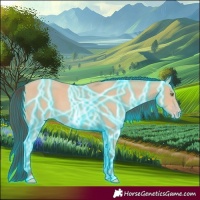 Horse Color:Thunderstruck Amber Champagne