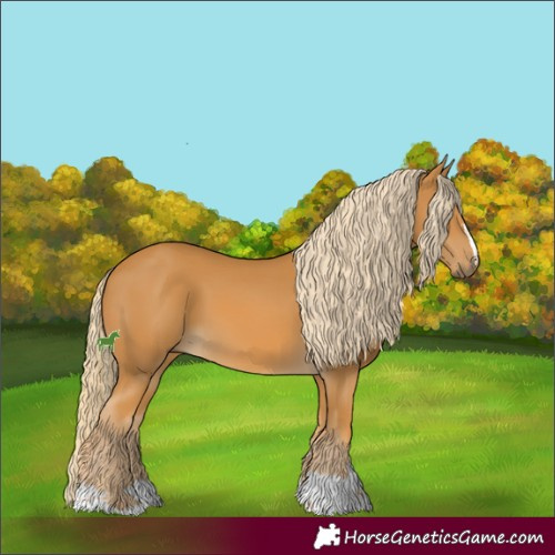 Horse Color:Palomino 