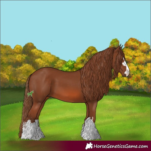 Horse Color:Chestnut 