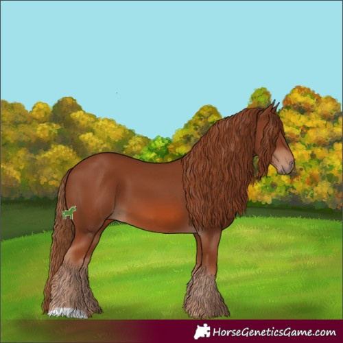 Horse Color:Chestnut 