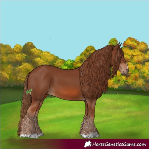 Horse Color:Chestnut 