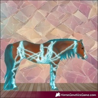 Horse Color:Thunderstruck Bay 