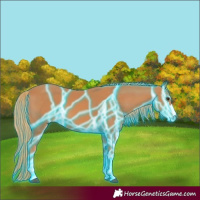 Horse Color:Thunderstruck Chestnut 