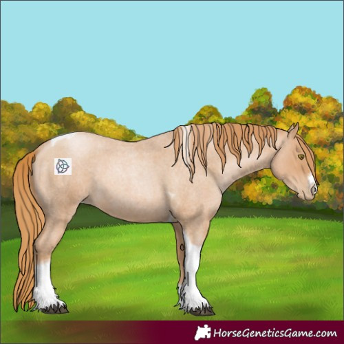 Horse Color:Red Roan Pearl Tobiano Frame 