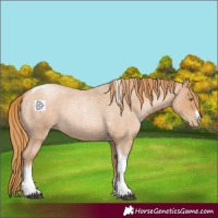 Horse Color:Red Roan Pearl Tobiano Frame 