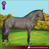 Horse Color:Grullo 