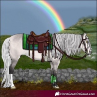 Horse Color:Platinum Silver Buckskin 