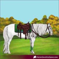 Horse Color:Platinum Perlino Roan Dun 