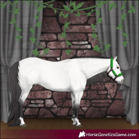 Horse Color:Platinum Buckskin Dun 