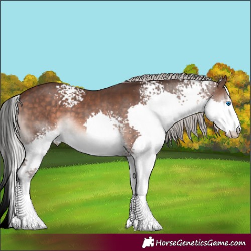 Horse Color:White Spotted Silver Brown Mushroom Splash 