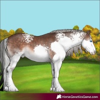 Horse Color:White Spotted Silver Brown Mushroom Splash