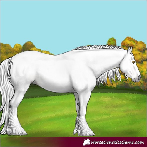 Horse Color:Gray White Spotted Silver Buckskin Splash 