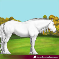 Horse Color:Gray White Spotted Silver Buckskin Splash 
