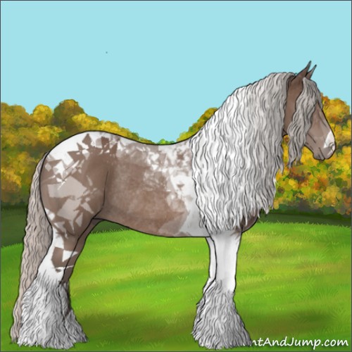 Horse Color:Silver Black Tobiano Rabicano