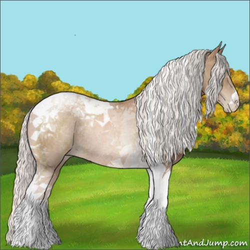 Horse Color:Silver Black Pearl Tobiano Rabicano