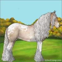Horse Color:Silver Black Pearl Tobiano Rabicano 