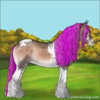 Horse Color:Painted Chocolate Palomino Onyx Tobiano 