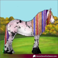 Horse Color:Gray Void Painted Watercolor White Spotted Silver Brown Ice Onyx 