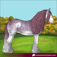 Horse Color:Watercolor White Spotted Bay Ice Pearl Onyx Splash