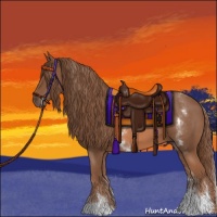 Horse Color:White Spotted Chestnut Sabino 