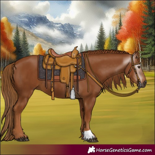 Horse Color:Gray Chestnut 