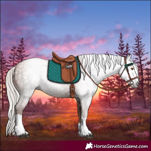 Horse Color:Gray Silver Black Pearl Tobiano 