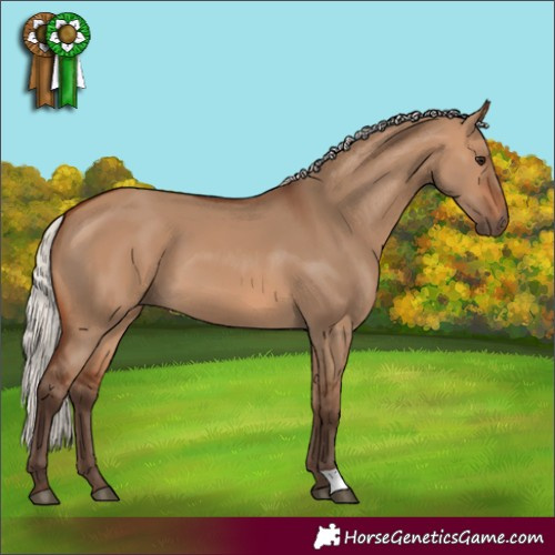 Horse Color:Silver Brown Dun 