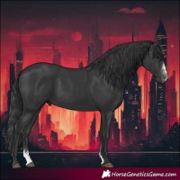 Horse Color:Black Sabino
