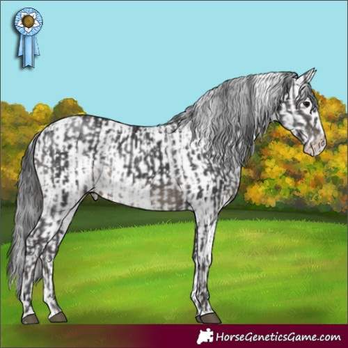 Horse Color:Black Sabino Rabicano and Black Sabino Blanket Rabicano
