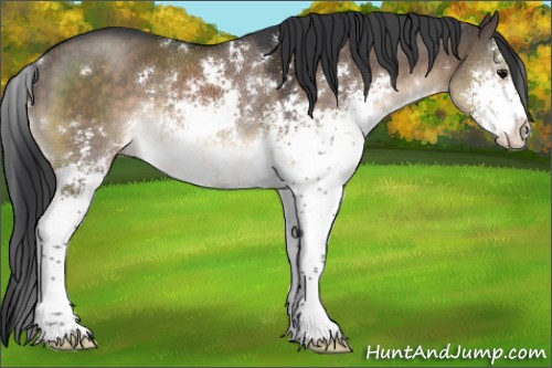 Horse Color:Brown Dun Sabino Rabicano 