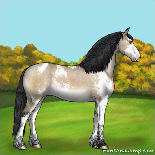 Horse Color:Brown Dun Sabino Varnish Brindle 