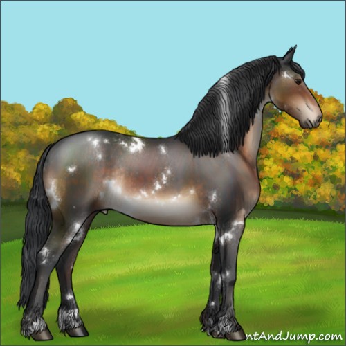 Horse Color:White Spotted Brown Sabino Rabicano 