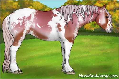 Horse Color:White Spotted Silver Bay Onyx Tobiano 