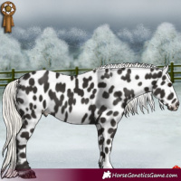 Horse Color:Liver Chestnut Mushroom Leopard