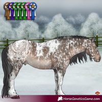 Horse Color:Brown Mushroom Tobiano Appaloosa  and Brown Dun Mushroom Tobiano 