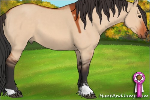 Horse Color:Brown Dun Sabino 