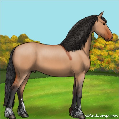 Horse Color:Brown Dun Sabino 