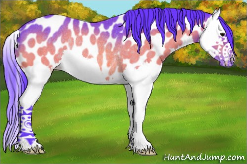 Horse Color:Watercolor Brown Splash Appaloosa Rabicano 