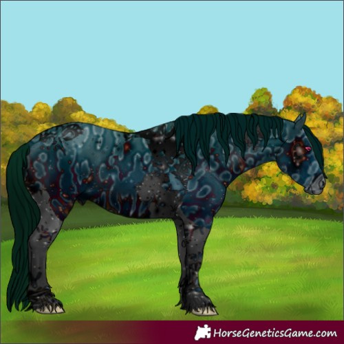 Horse Color:ERROR: UNKNOWN ANOMALY