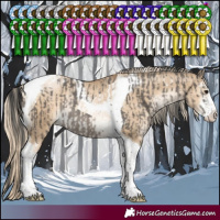 Horse Color:Grullo Sabino Tobiano Rabicano and Chocolate Palomino Pearl Dun Sabino Tobiano Rabicano