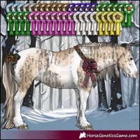 Horse Color:Grullo Sabino Tobiano Rabicano  and Chocolate Palomino Pearl Dun Sabino Tobiano Rabicano 