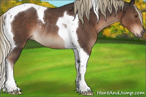 Horse Color:Liver Chestnut Sabino Tobiano Rabicano 