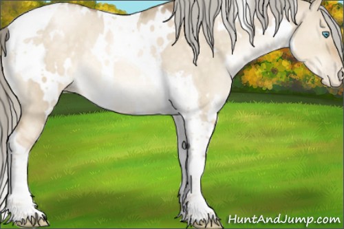 Horse Color:White Spotted Chocolate Palomino Pearl Dun Tobiano Rabicano 