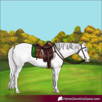 Horse Color:Platinum Perlino Roan 